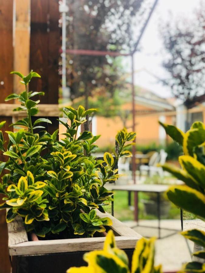 Dolce Nera B&B Narni Scalo Exteriér fotografie